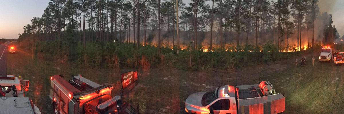 Brush fire